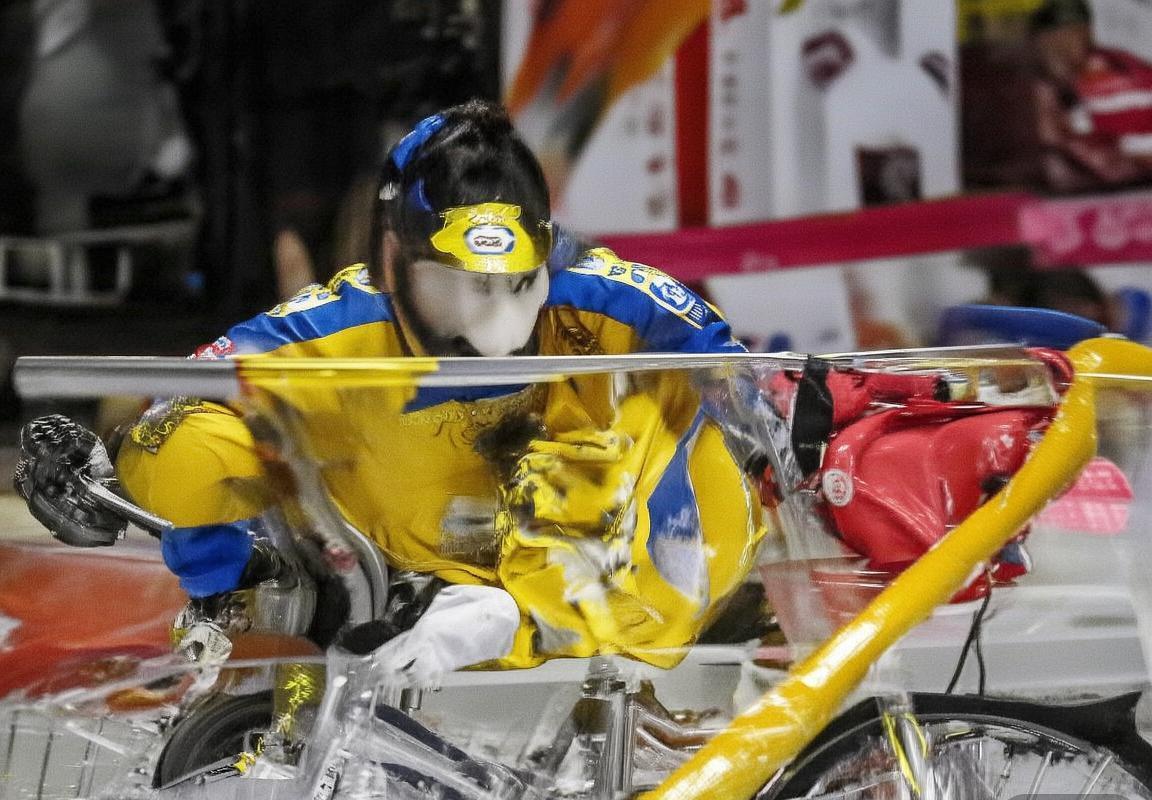 hellogpt pc版下载-翻译工具-翻译助手