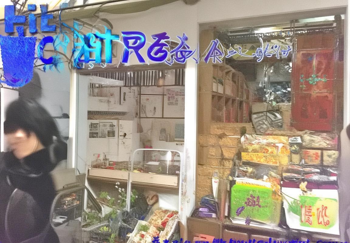 翻译软件-Hello GPT APK下载-Hello GPT APK下载