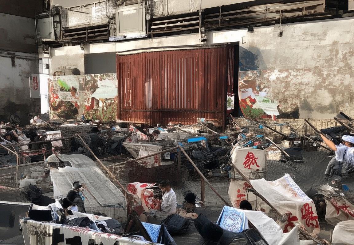 HelloGPT翻译官网-翻译助手-翻译软件