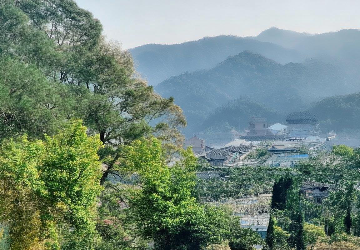 翻译助手-翻译工具-Hello GPT电脑版下载