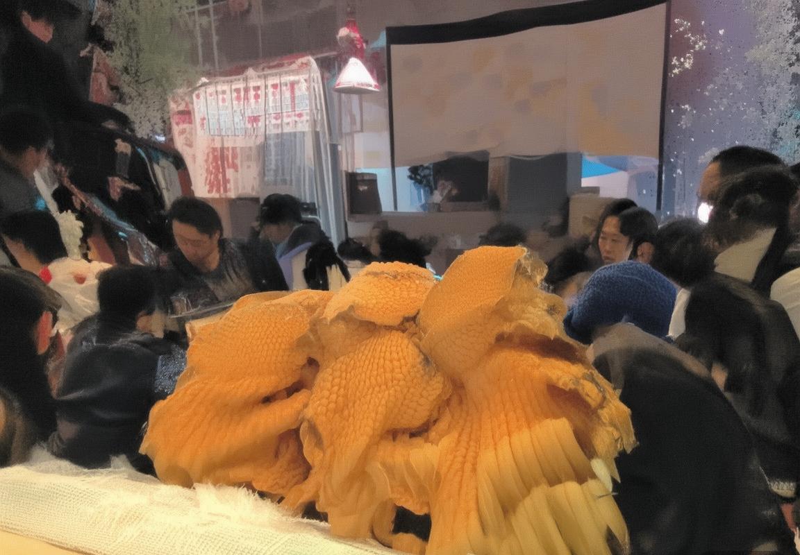 翻译助手-翻译工具-翻译工具